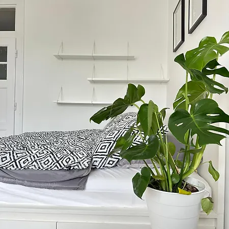 Point Apartment *